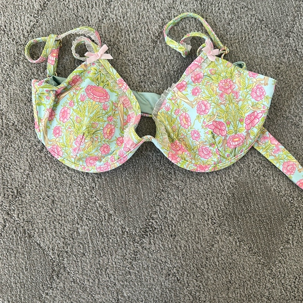 Dippin' Daisy's Pink and Green Bikini Top